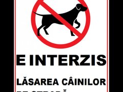 Placuta e interzis lasarea cainilor pe strada
